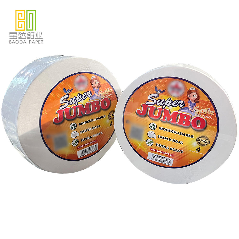 Rollo de papel higi&eacute;nico 