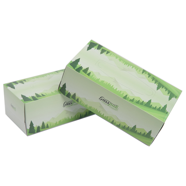 Venta caliente con patrón 2 capas de 19*20 cm Caja de tejido facial para el hogar